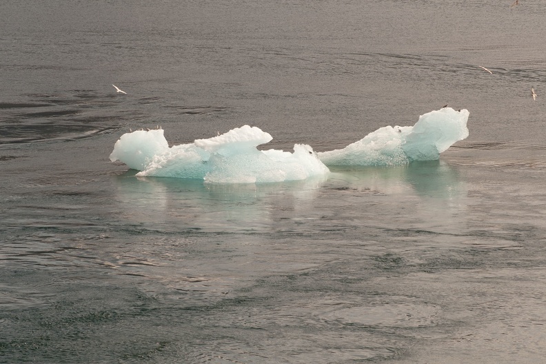 315-9033 Iceberg.jpg
